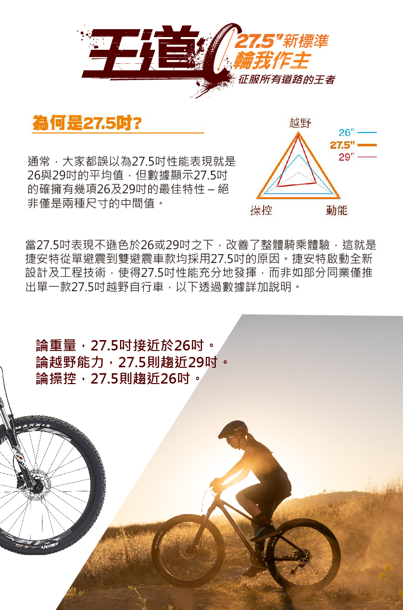 Tempt 2 捷安特 自行車 Giant Bicycles Taiwan 臺灣