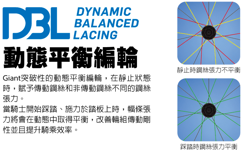 DBL 動態平衡編織輪 輪組 捷安特 GIANT 碳纖  wheelsystem