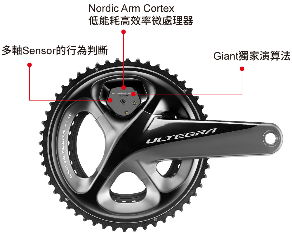 Power Pro Nordic Arm Cortex