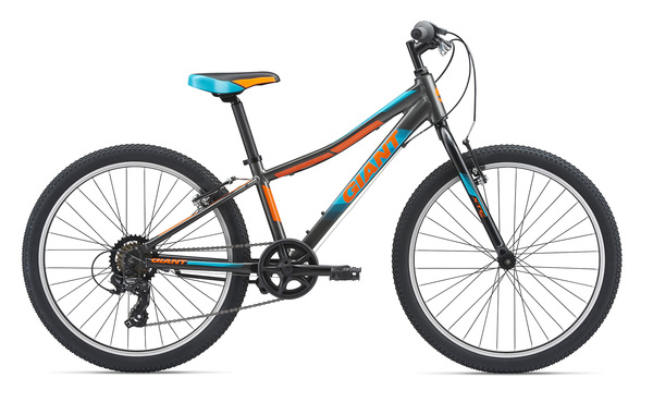 giant areva 24 inch bike