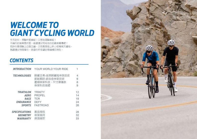 giant defy triathlon