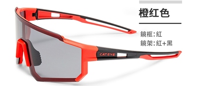CATEYE A.R. II 偏光太陽眼鏡