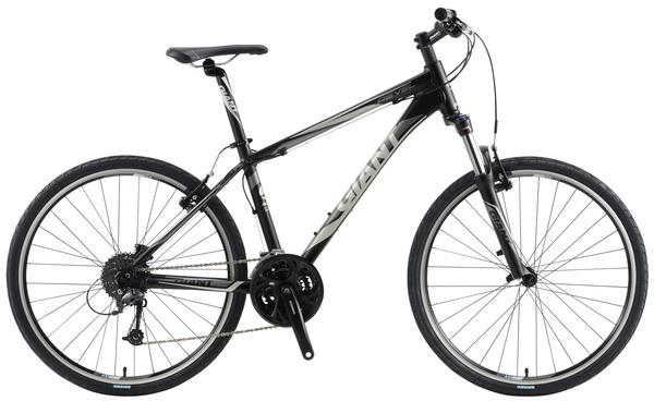 giant rincon disc 2020