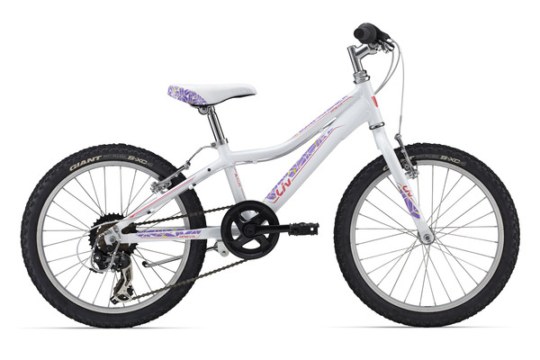 giant areva 24 inch bike